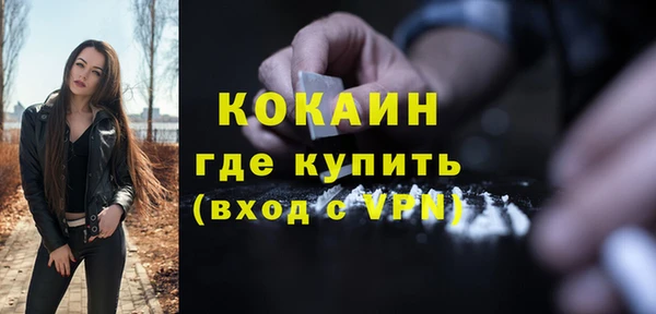 дурь Ладушкин