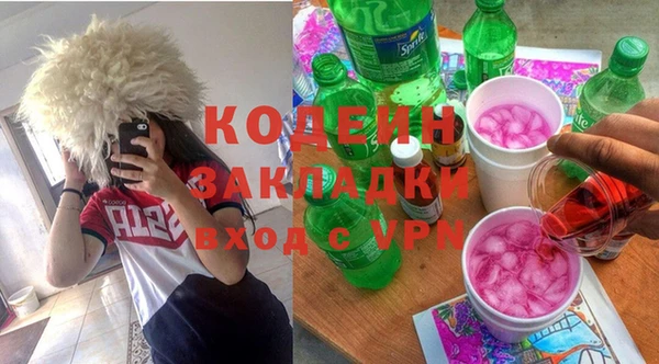 дурь Ладушкин