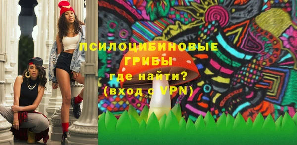 Альфа ПВП Лиски
