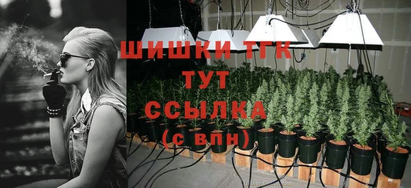 дурь Ладушкин