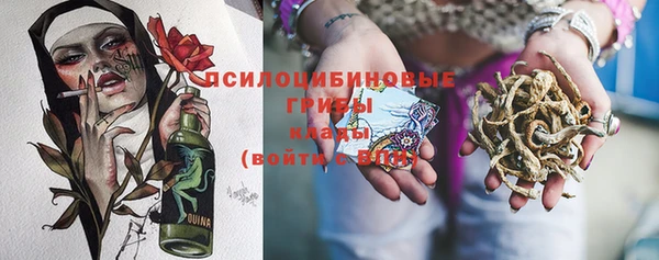 Альфа ПВП Лиски